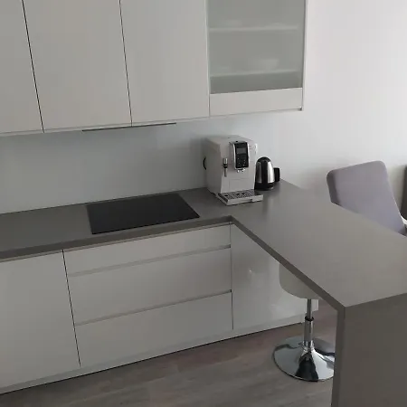 Apartment Apartament Premium Miodowy Dom